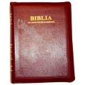 Biblia Visiniu  cu Concordanta si Explicatii, auriu